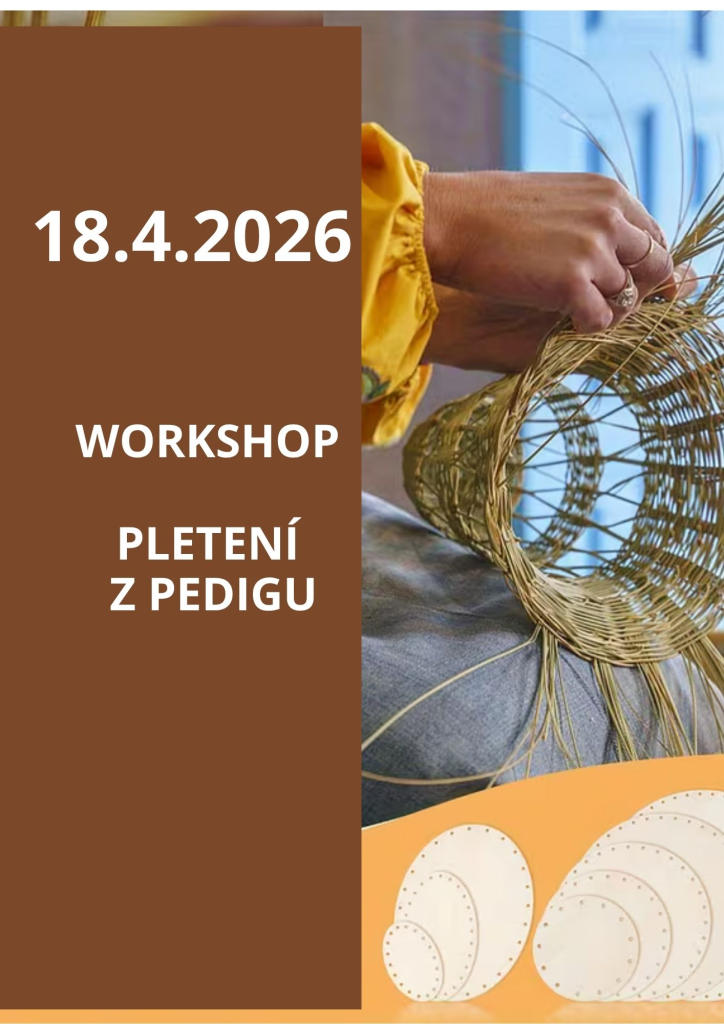 Workshop pletení z pedigu