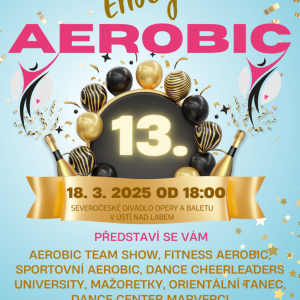 ENJOY AEROBIC