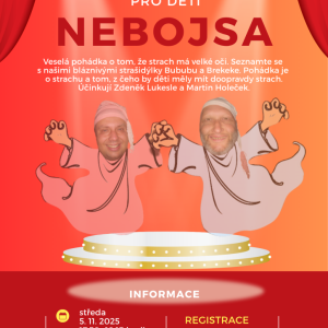Divadlo pro děti - NEBOJSA