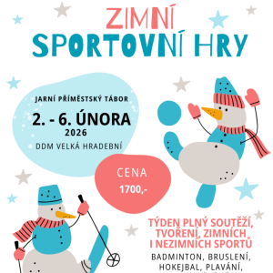 Zimní sportovní hry