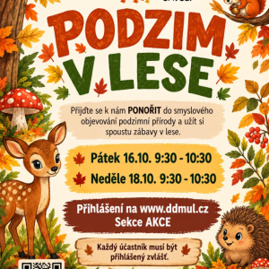 Ponorka.smysly- Podzim v lese 16.10.