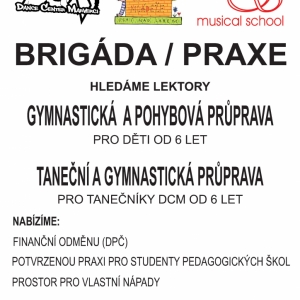 BRIGÁDA - PRAXE - LETÁK.jpg